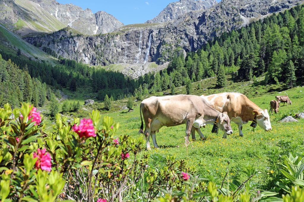 Pension Fuchs Pfunds Exterior foto